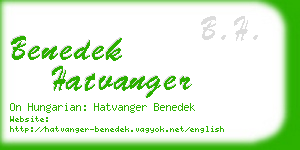 benedek hatvanger business card